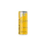 RED BULL SUMMER BAZGA EDITION 0,25 L