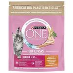 ONE SM JUNIOR PILETINA 750 g