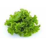 SALATA GENTILE